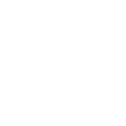 TANNE — Skis Artisanaux