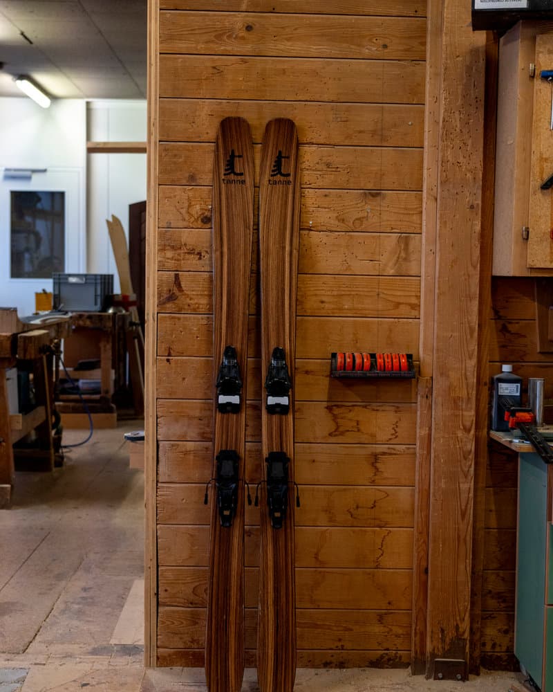 Mullet — photo réelle