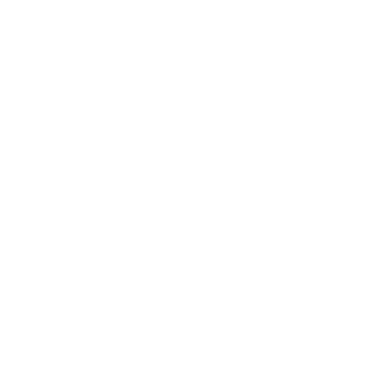 TANNE — Skis Artisanaux