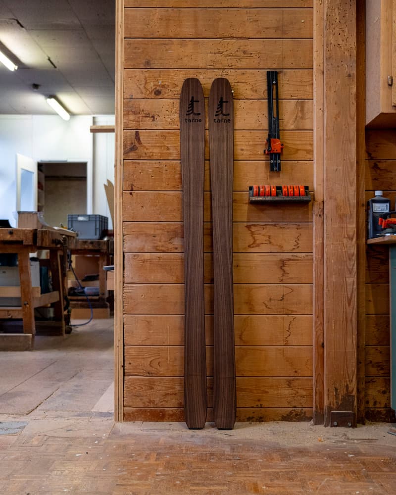 Gentiane — photo réelle